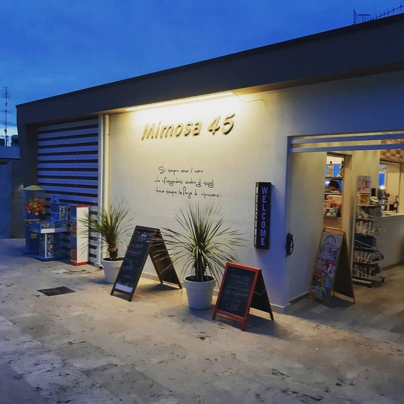 Chalet Mimosa 45 - 5