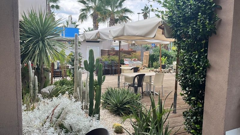 Chalet Ragno Verde - 5