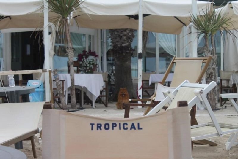 Ristorante Tropical - Grottammare