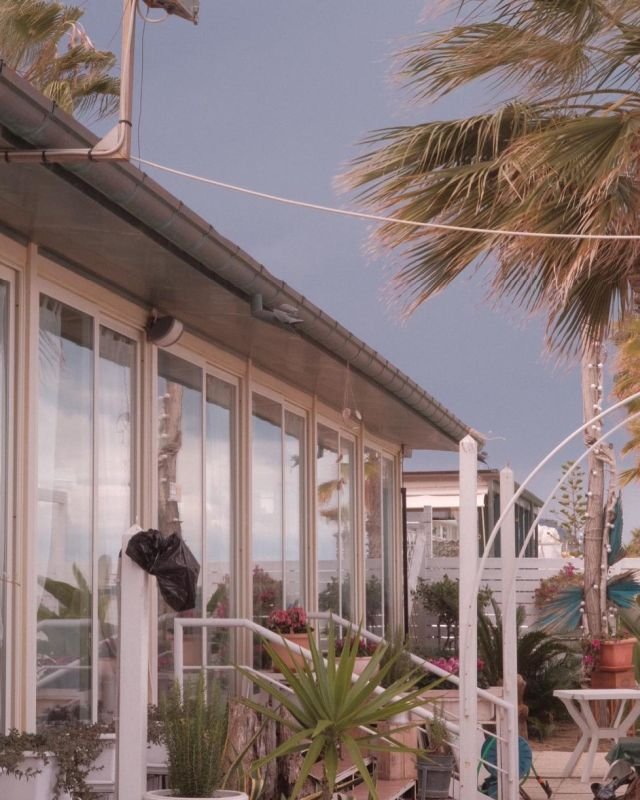 Ristorante Tropical - 4