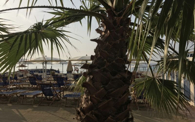 Walter Beach Cafè - 2