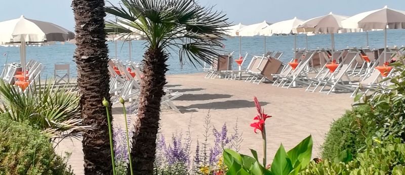 La Pineta Sul Mare - 4