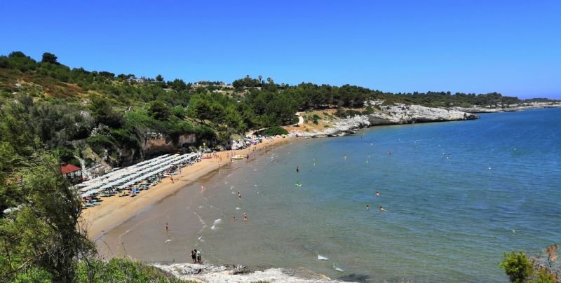 Spiaggia Di Dietro San Lorenzo - Molinella