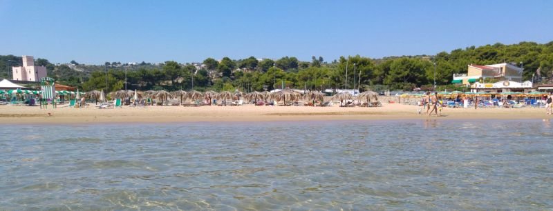 Vela Velo Beach