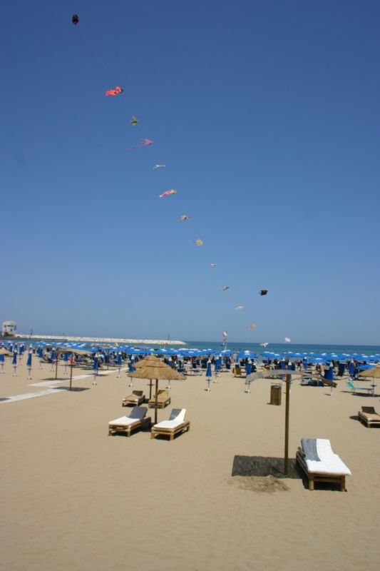 Corallo Rodi - 2