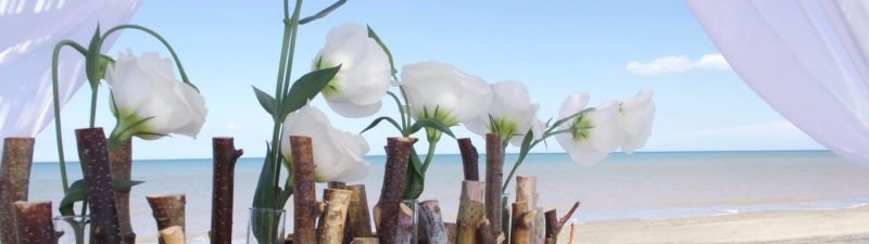 Oasi Beach - 3