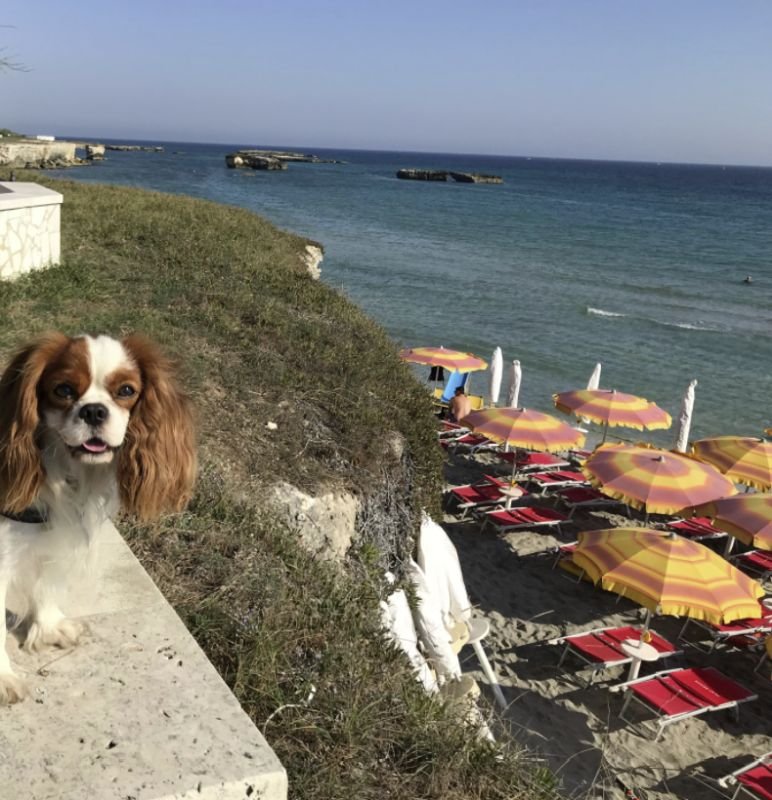 Spiaggia Dei Brigantini - 2