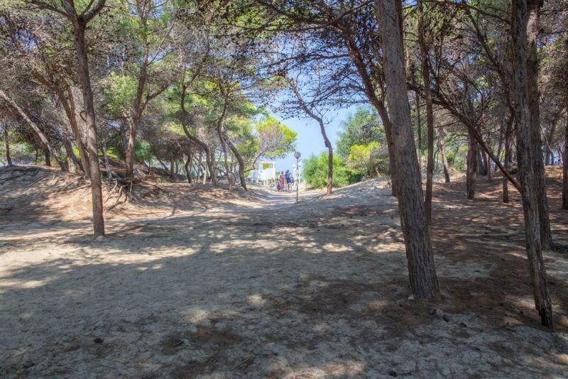 Lido Le Dune - 4