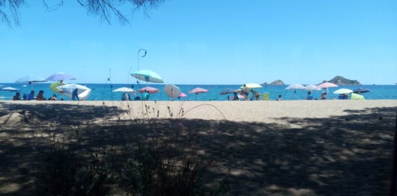 Flamingo Beach Bar - 4