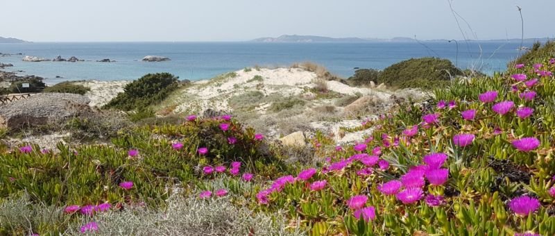 Spiaggia Di Bassa Trinità - La Maddalena