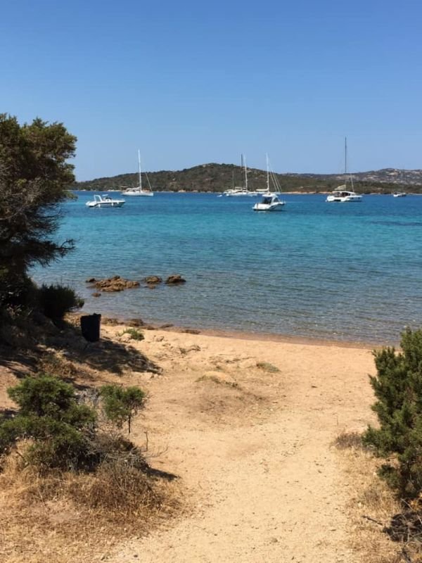 Arvepana Onlus Doggie Beach - 2