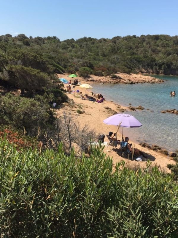 Arvepana Onlus Doggie Beach - 4