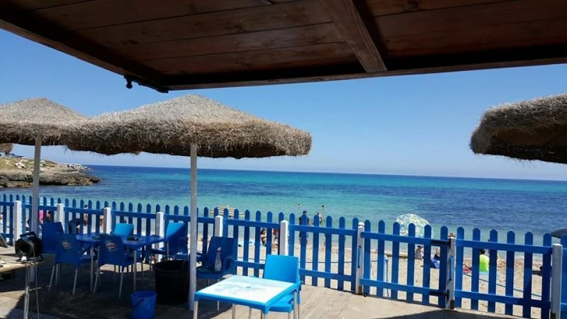 Lido Dolphin - 2