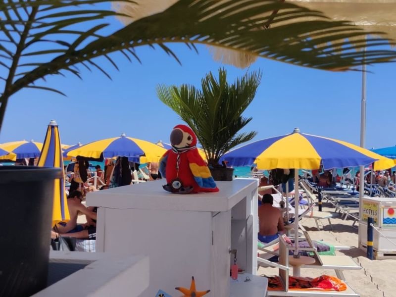 Gruppo Emme Beach - 4