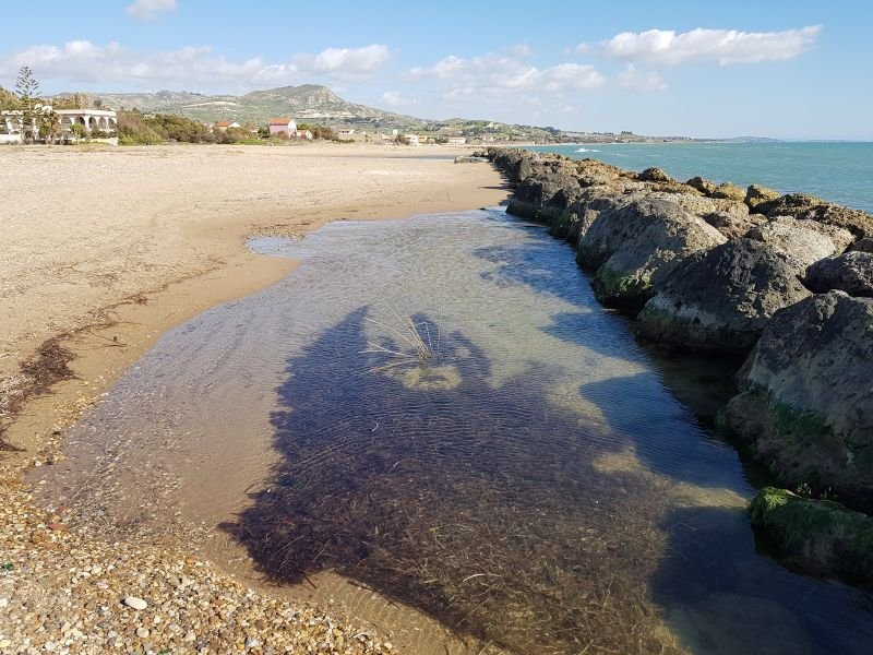 Insonnia Beach - 2