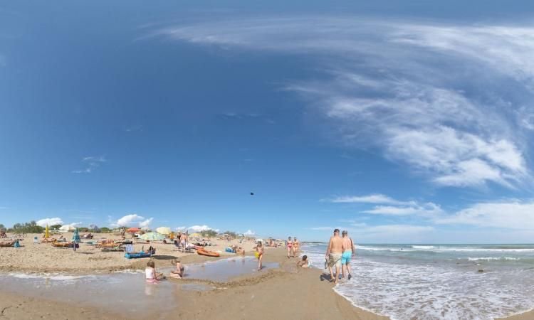 Consorzio Pineta 2000 - 3