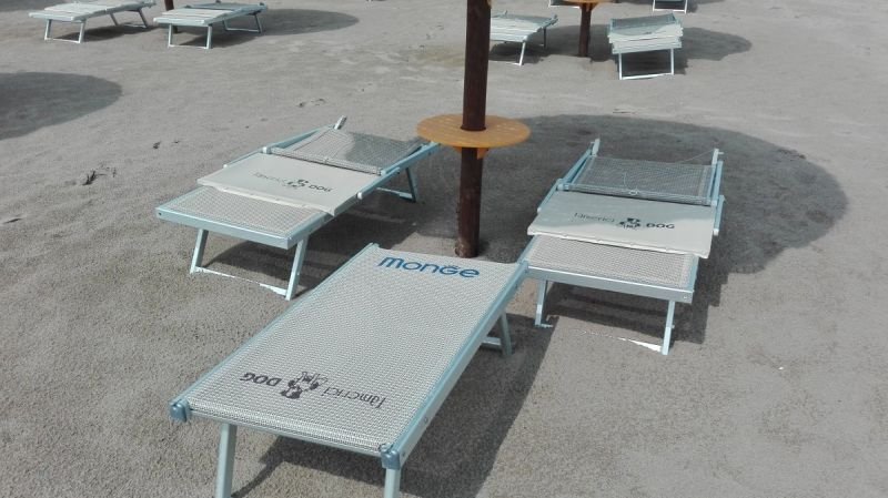 Bagno Tamerici Dog - 2