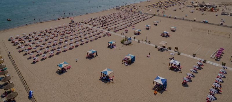 Bagno Tamerici Dog - 3