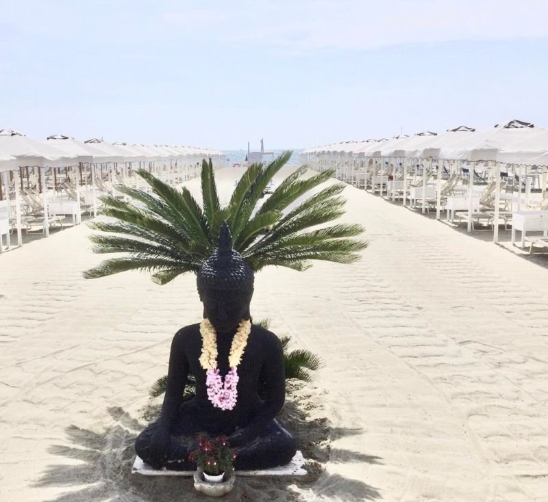 Danio Beach Club - 2