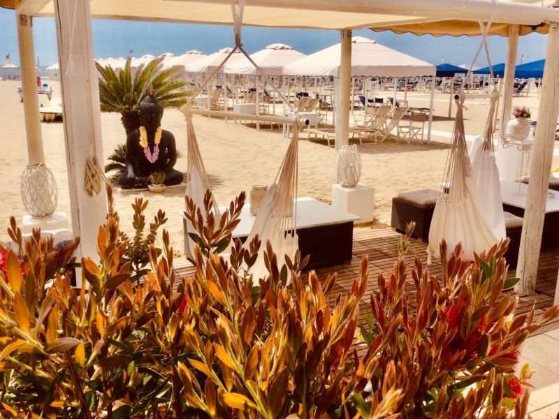 Danio Beach Club - 3