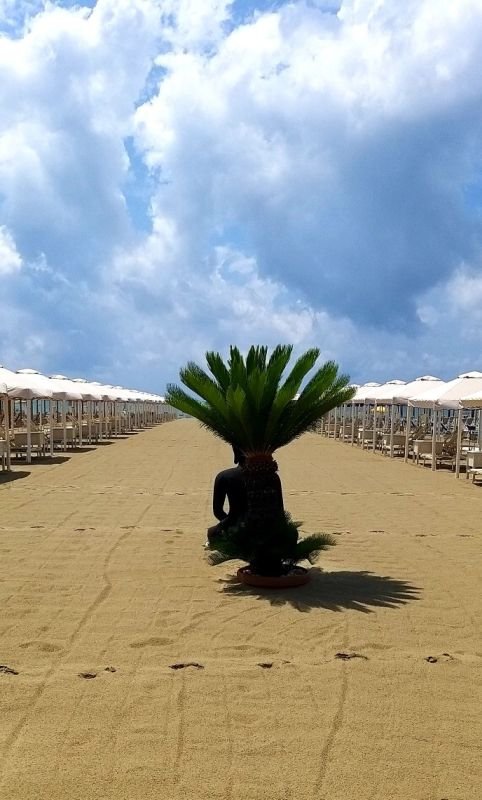 Danio Beach Club - 4