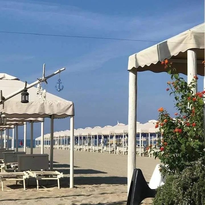 Danio Beach Club - 5