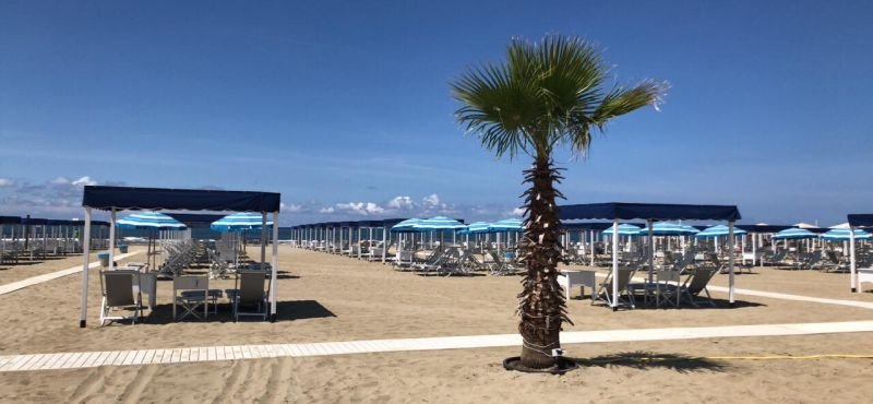 Cavalluccio Marino - 2