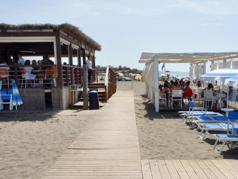 Bagno Mojito Dog - 3