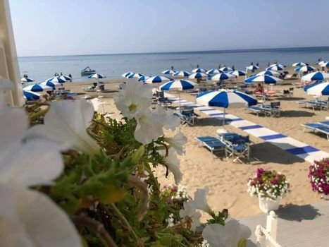 Bagni Miramare - Follonica