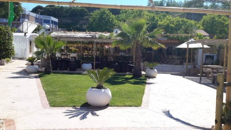 Lido Tricheco Beach - 5