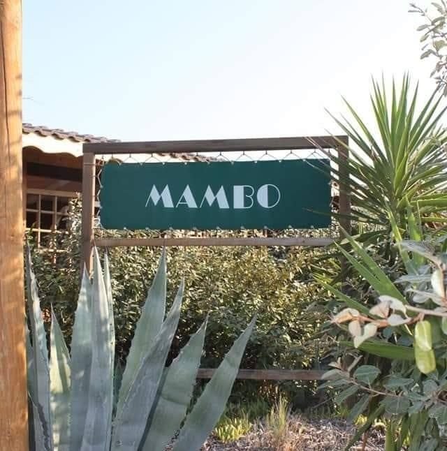 Lido Mambo - 3