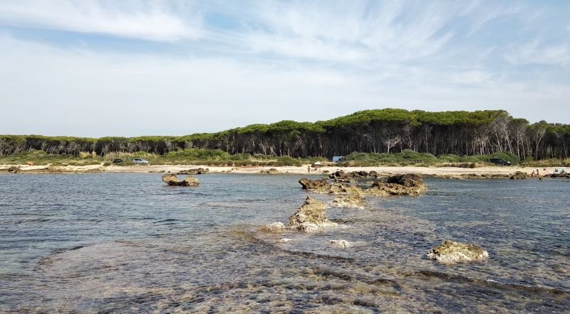 Tsunami Beach - 2