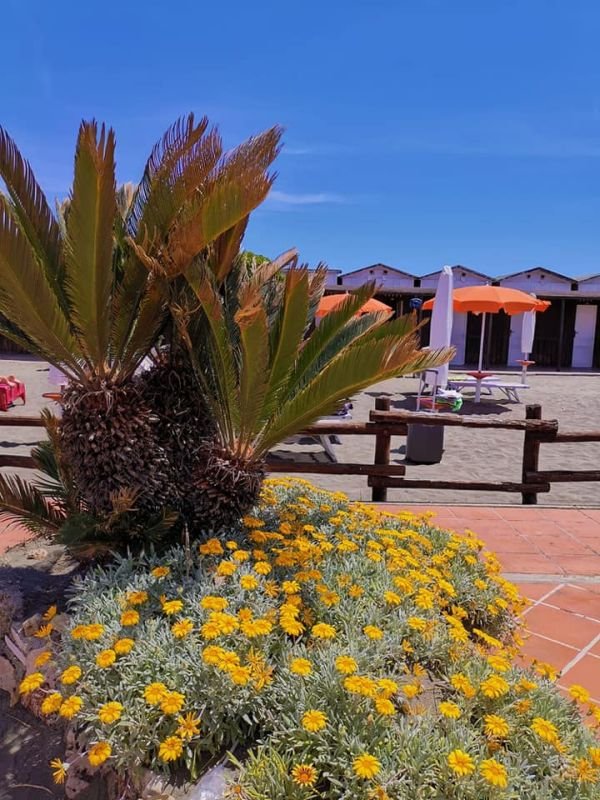Guerrino Beach - 4