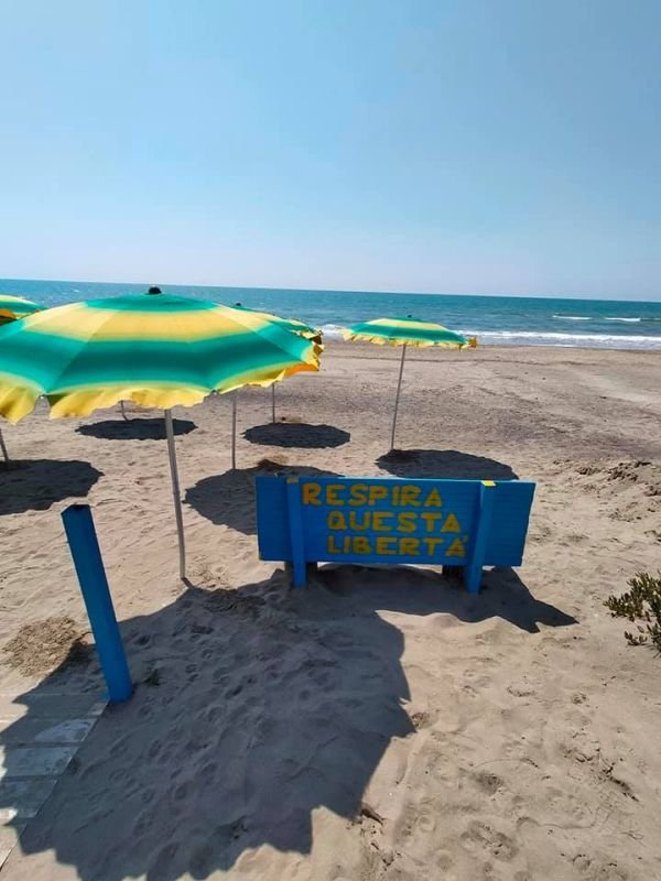 Bar Bleu Marine - Ardea