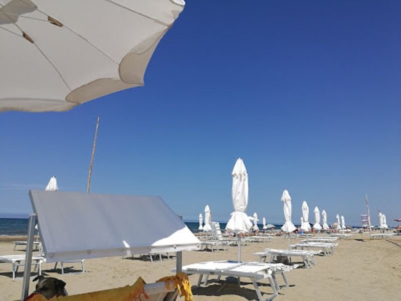 Free Beach