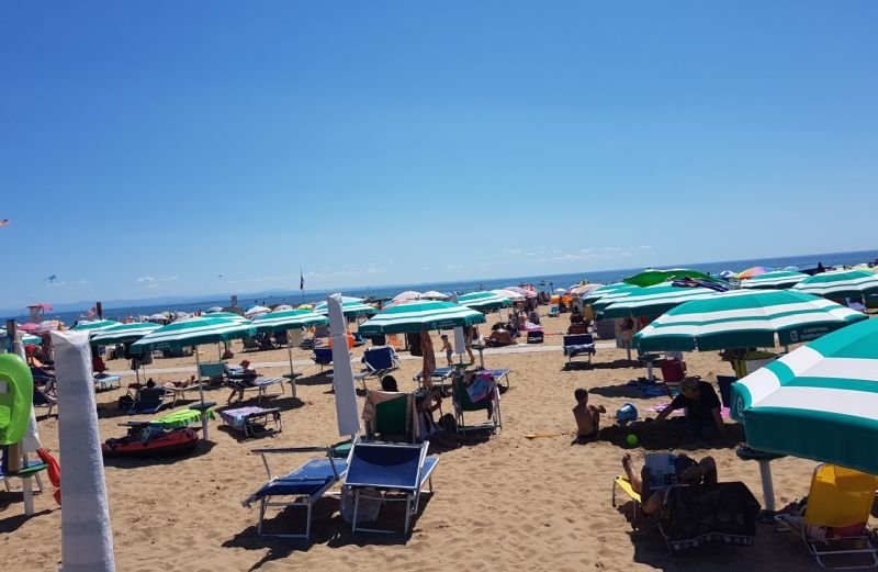 Ufficio Spiaggia 18 Pesce Palla