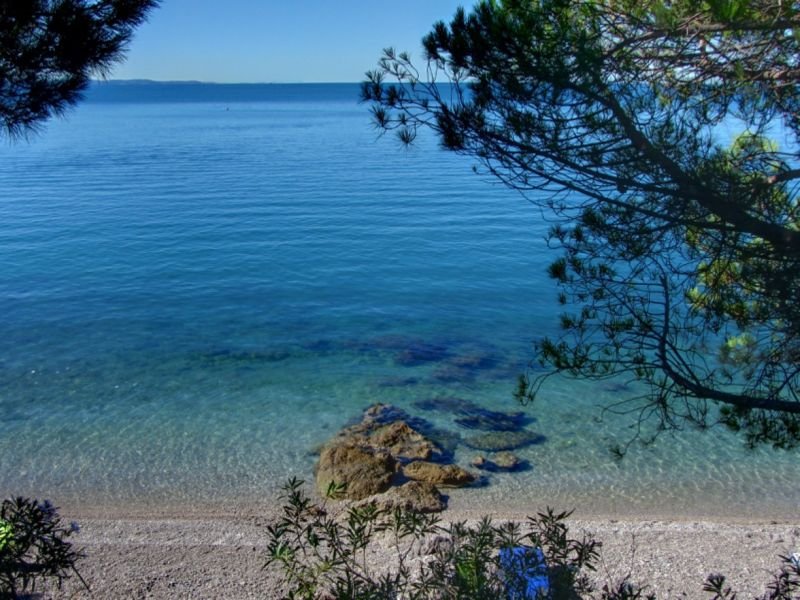 Le Ginestre - 2