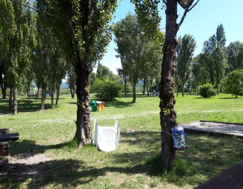 Fido Lido Dog Beach Muggia - 3