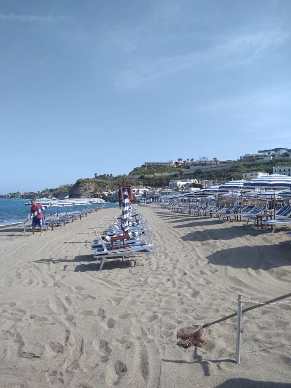 Bagno Bar Ristorante Viola - 3