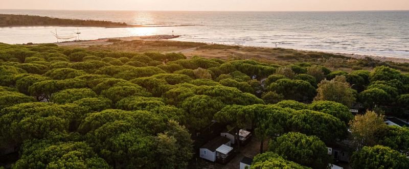 Camping Waikiki - 2