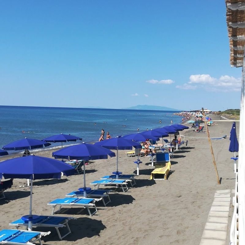 Tequila Dog Beach - 2