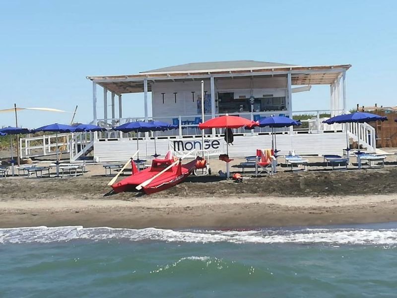 Tequila Dog Beach - 4