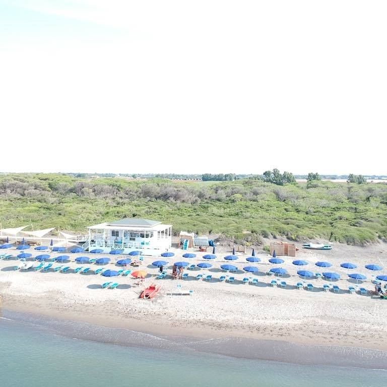 Tequila Dog Beach - 5