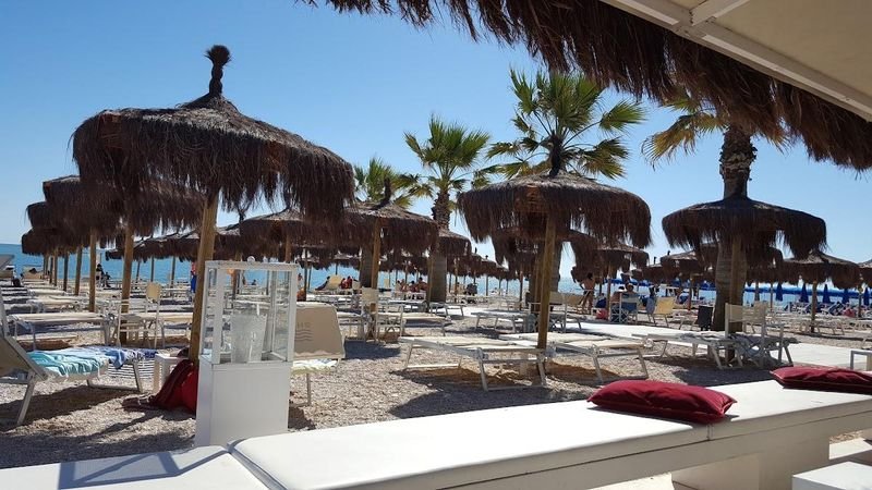 Shada Beach Food Club - 5
