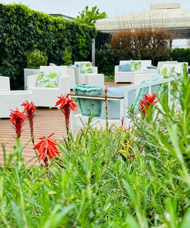 Bagno La Rondine - 5