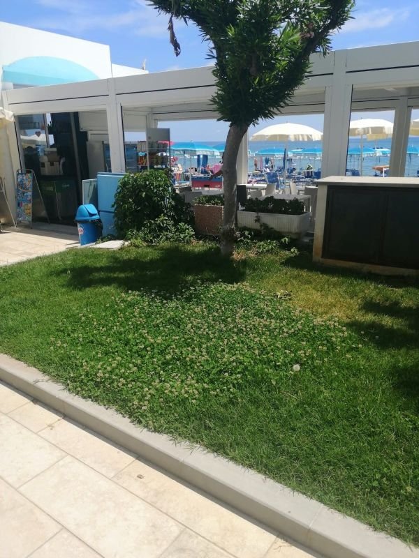 Lido Azzurro - 2