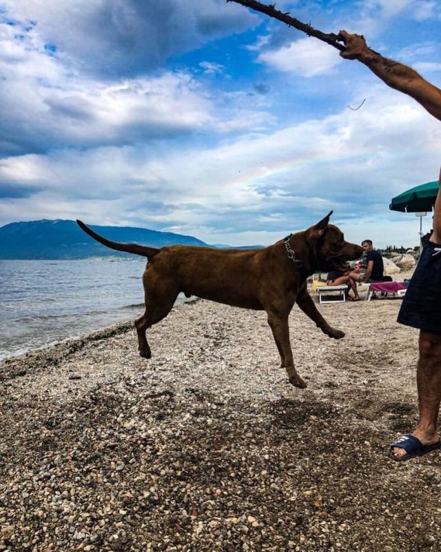 Fido Beach - 3