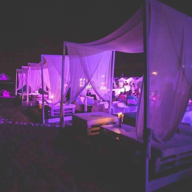 Flamingo Beach 45 - 2