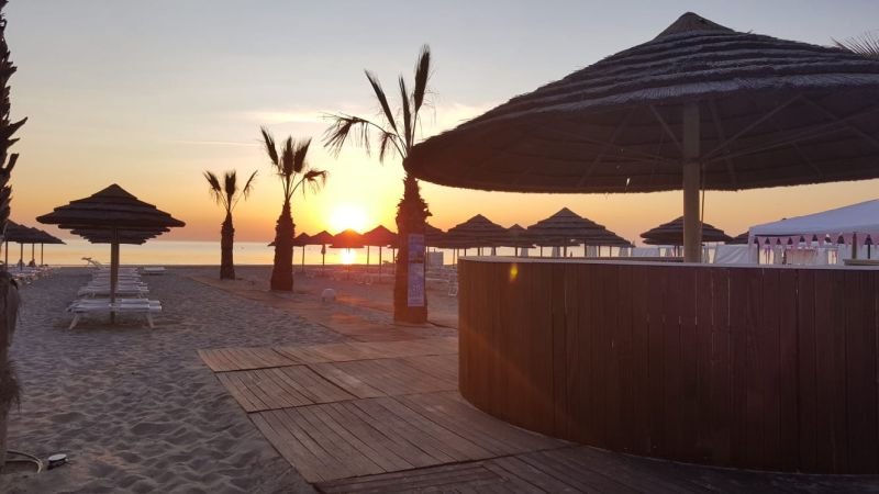 Flamingo Beach 45 - 4