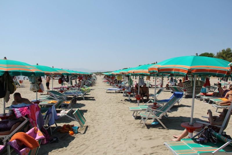 Lido Cavalluccio Marino - 3